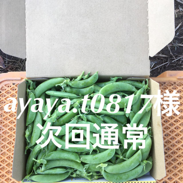 鹿児島産スナップエンドウ1キロ^_^次回通常 食品/飲料/酒の食品(野菜)の商品写真