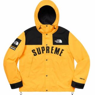 シュプリーム(Supreme)のsupreme TNF arc logo mountain parka(マウンテンパーカー)