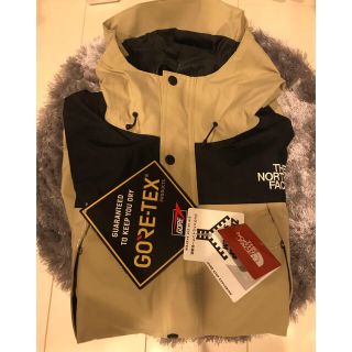 ザノースフェイス(THE NORTH FACE)のthe north face mountain light jacket (マウンテンパーカー)