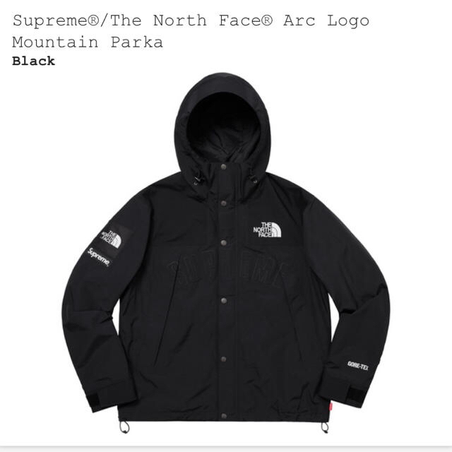 supreme north face mountain jacket M