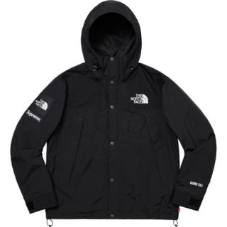 シュプリーム(Supreme)のsupreme north face mountain parka Mサイズ(マウンテンパーカー)