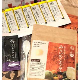 【送料無料！】みらいのこうそトライアルセット(その他)