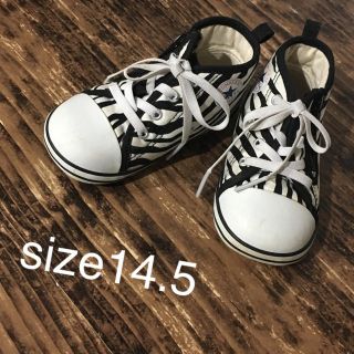 コンバース(CONVERSE)のsize14.5(スニーカー)