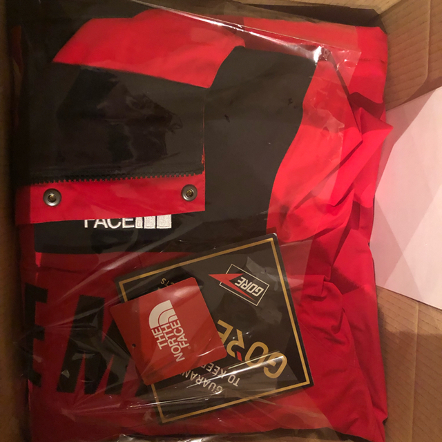 Supreme(シュプリーム)のLサイズ Supreme × TNF mountain parka red メンズのジャケット/アウター(マウンテンパーカー)の商品写真