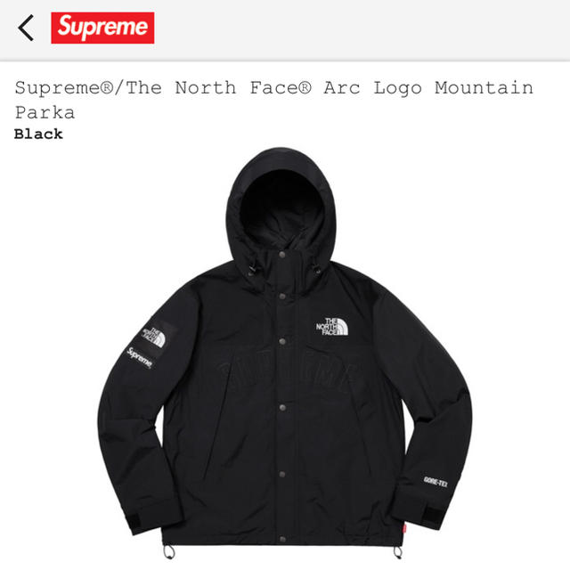 Supreme/The North Face Mountain Parka