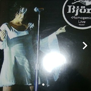 Björk　homogenic(ポップス/ロック(洋楽))