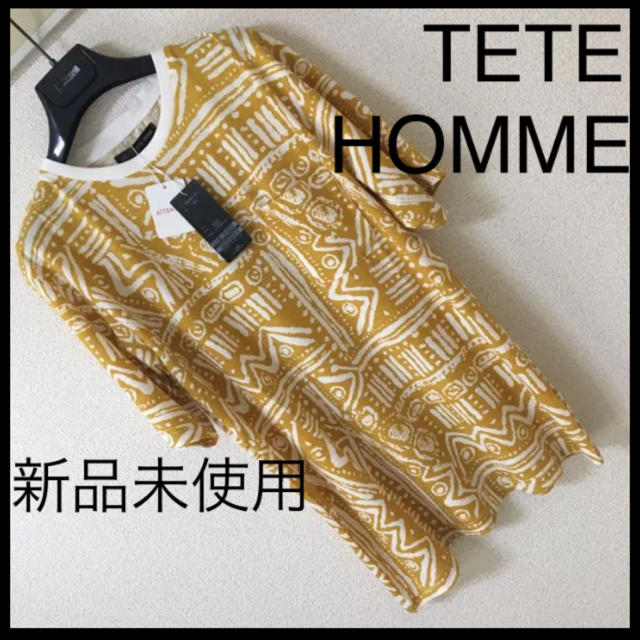 TETE HOMME(テットオム)の◆新品未使用◆TETE HOMME テットオム◆ネイティブ リンガーTシャツ M メンズのトップス(Tシャツ/カットソー(半袖/袖なし))の商品写真