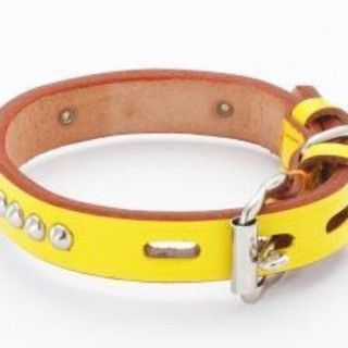 ペティオ　大型犬用　手縫平首輪　イエロー (犬)
