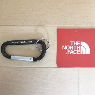 ザノースフェイス(THE NORTH FACE)の新品 限定レア ザノースフェイス  カラビナ(バッグパック/リュック)