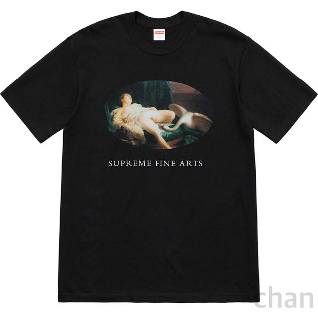 Tシャツ/カットソー(半袖/袖なし)supreme Leda And The Swan Tee