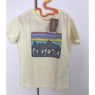 パタゴニア(patagonia)の✨専用ページ✨(Tシャツ/カットソー)