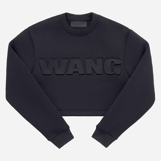 アレキサンダーワン(Alexander Wang)のアレキサンダーワン H&Mコラボ 本日のみの出品！(トレーナー/スウェット)