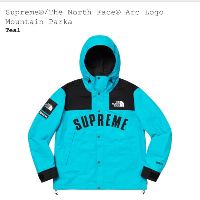 supreme×the northface