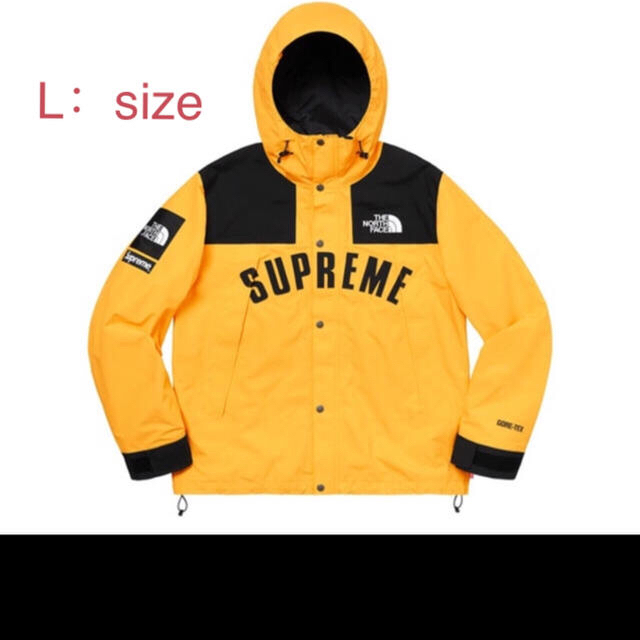 Supreme(シュプリーム)のsupreme north face mountain parka メンズのジャケット/アウター(マウンテンパーカー)の商品写真