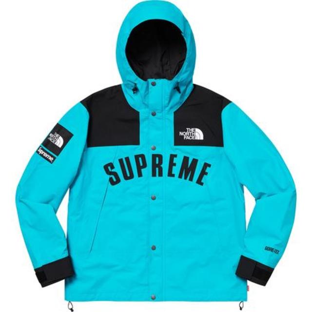 L Supreme North Face Mountain Parka 国内正規