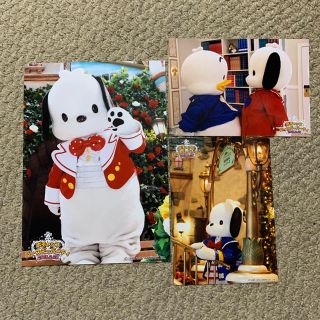 サンリオ(サンリオ)のぽちゃっこ 写真 サンリオ(キャラクターグッズ)