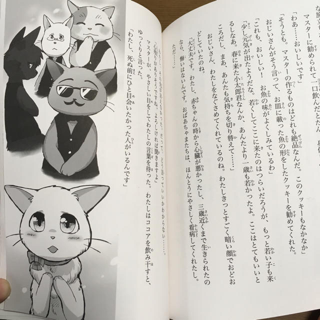 角川書店(カドカワショテン)のおおかみこどもの雨と雪、2歳になれなかった子猫 エンタメ/ホビーの本(文学/小説)の商品写真