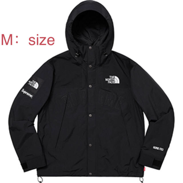 supreme north face mountain parka