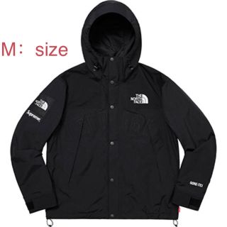 シュプリーム(Supreme)のsupreme north face mountain parka(マウンテンパーカー)