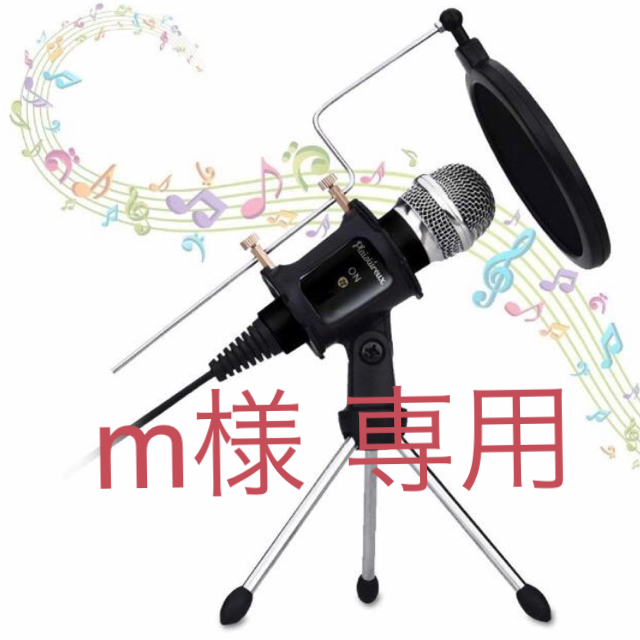 m様 専用 レコーディング/PA機器 m様 専用 レコーディング/PA機器
