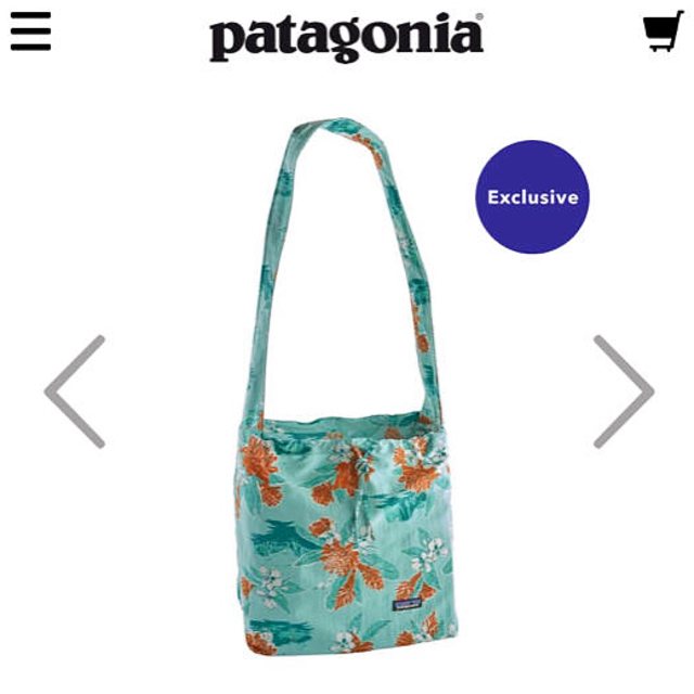 patagonia(パタゴニア)の☆新品☆ パタゴニア patagonia  Carry Ya’ll Bag レディースのバッグ(エコバッグ)の商品写真