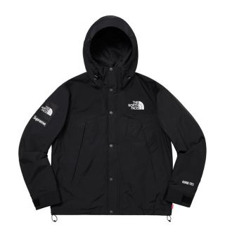 シュプリーム(Supreme)のSupreme/The North Face (マウンテンパーカー)