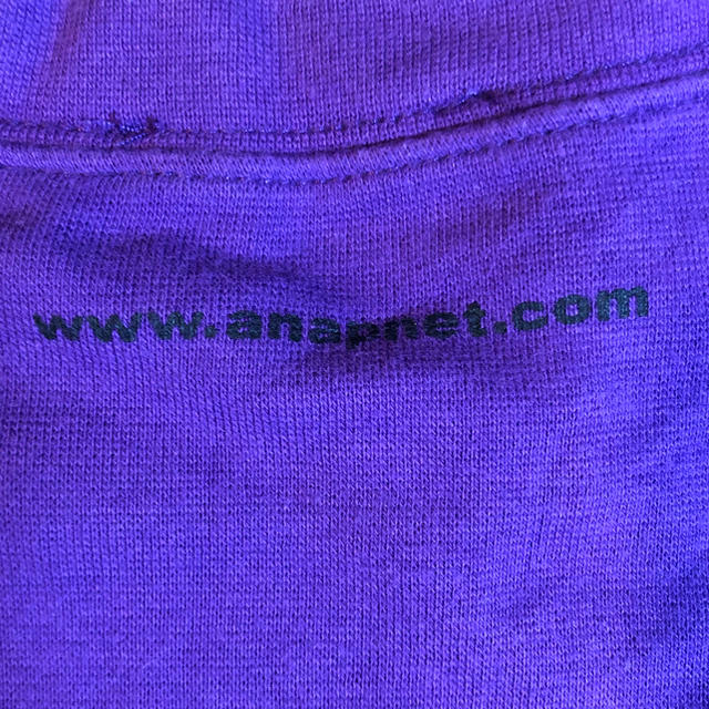 ANAP(アナップ)の❤️アナップティーシャツ❤️ レディースのトップス(Tシャツ(半袖/袖なし))の商品写真
