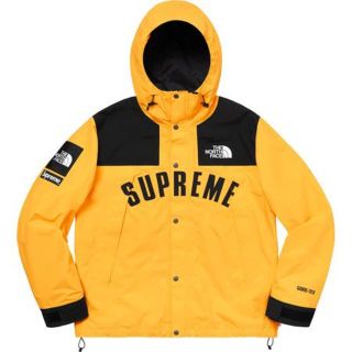 シュプリーム(Supreme)のL Supreme North Face Mountain Parka 国内正規(マウンテンパーカー)