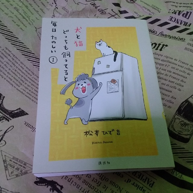 講談社(コウダンシャ)の犬と猫どっちも飼ってると毎日たのしい　1巻　松本ひで吉 エンタメ/ホビーの漫画(その他)の商品写真