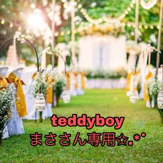 teddyboyまささん専用(その他)