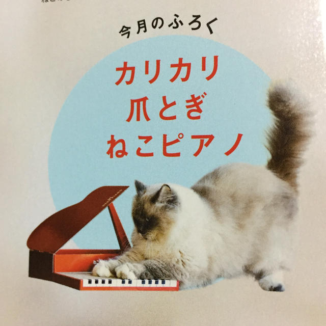 ねこのきもち  付録 カリカリ爪とぎ 猫ピアノ その他のペット用品(猫)の商品写真
