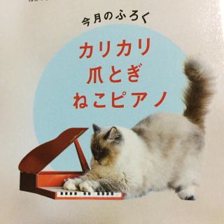 ねこのきもち  付録 カリカリ爪とぎ 猫ピアノ(猫)