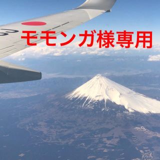 ジャル(ニホンコウクウ)(JAL(日本航空))のモモンガ様専用 JAL都道府県シール(航空機)