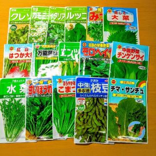 【60種類】野菜の種、ハーブの種、花の種　自分の欲しい種類を選んで購入！　(野菜)