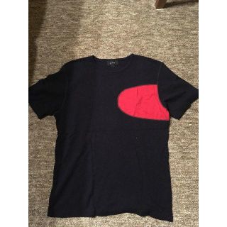 イネド(INED)のINED HOME　イネドオム サイズF（S～M相当） 毛100%(Tシャツ/カットソー(半袖/袖なし))