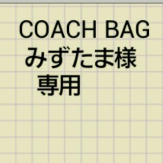 コーチ(COACH)のCOACH バッグ みずたま様専用(クラッチバッグ)