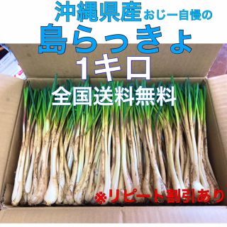 島らっきょ 1キロ 値下げ(野菜)