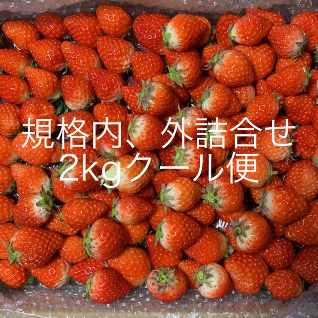 リピ割-¥100●規格内、外詰合せ2kg●クール便●さがほのか苺●イチゴいちご 食品/飲料/酒の食品(フルーツ)の商品写真