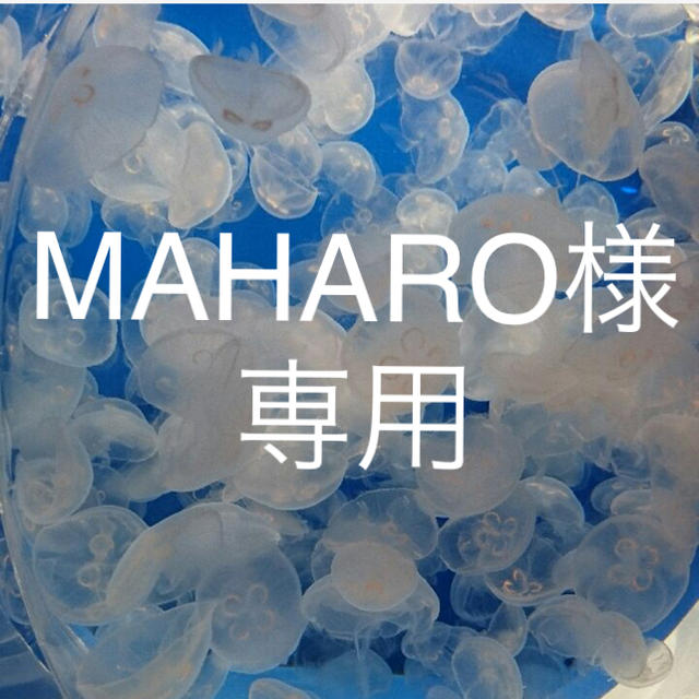 MAHARO様専用 ハンドメイドの素材/材料(各種パーツ)の商品写真