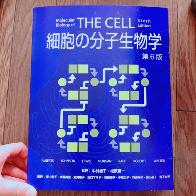 The Cell 細胞の分子生物学