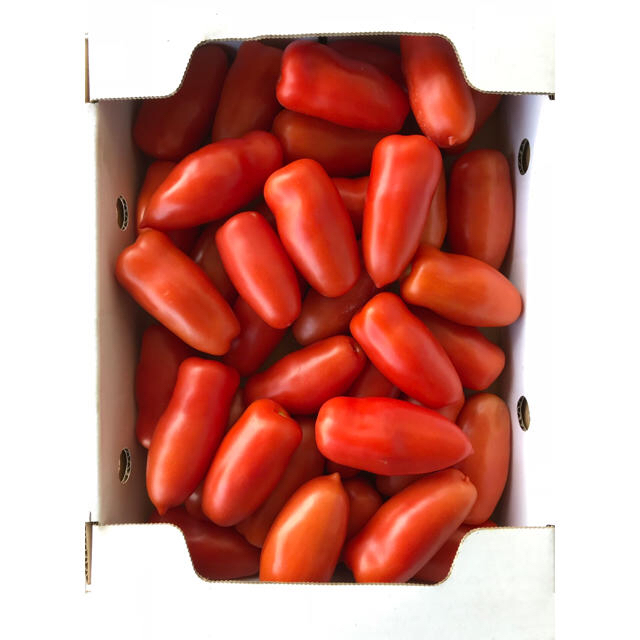 美肌トマト(サンマルツァーノリゼルバ)1kg 食品/飲料/酒の食品(野菜)の商品写真