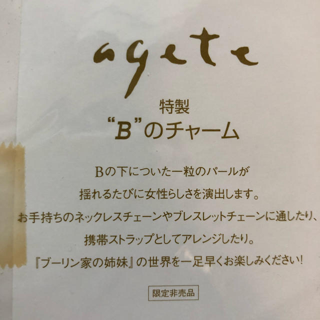 agete(アガット)のagete チャーム レディースのアクセサリー(チャーム)の商品写真