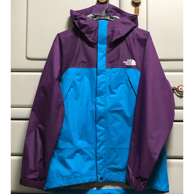 【THE NORTH FACE】ノースフェイスドットショットLマウンテンパーカー