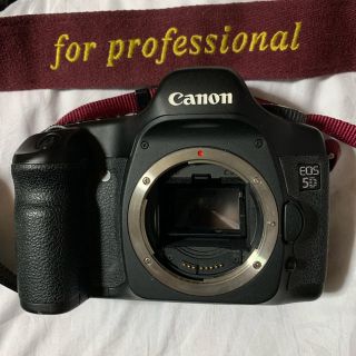 キヤノン(Canon)のキャノンEOS 5D 中古(デジタル一眼)