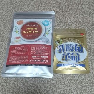 乳酸菌革命 ＋ ルイボスティー                        (その他)