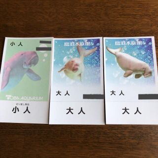 （値下げ）鳥羽水族館 大人2枚小人1枚 セット(水族館)