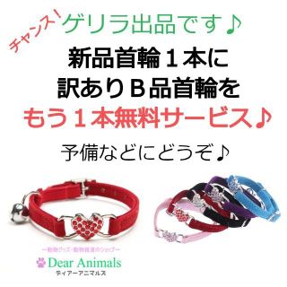 猫用首輪 ねこ首輪 小型犬用首輪 お得な訳ありＢ品１本サービス♪ 001(猫)