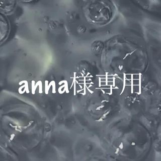 anna様専用(その他)