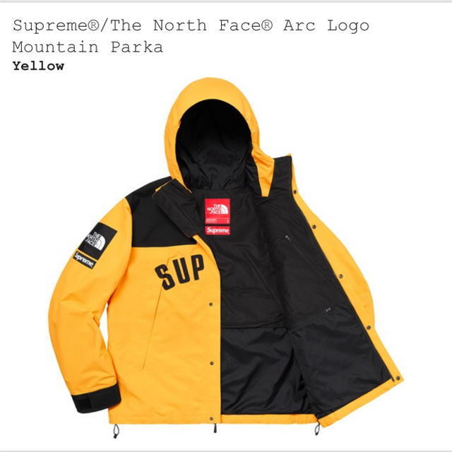 Supreme®/The North Face® Mountain Parka