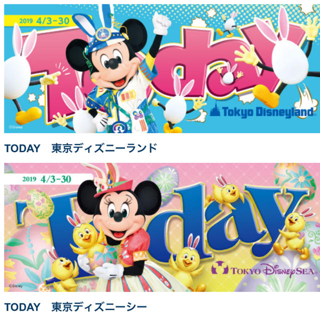 Disney(ディズニー)のディズニー Today トゥデイ パンフレット エンタメ/ホビーのコレクション(印刷物)の商品写真